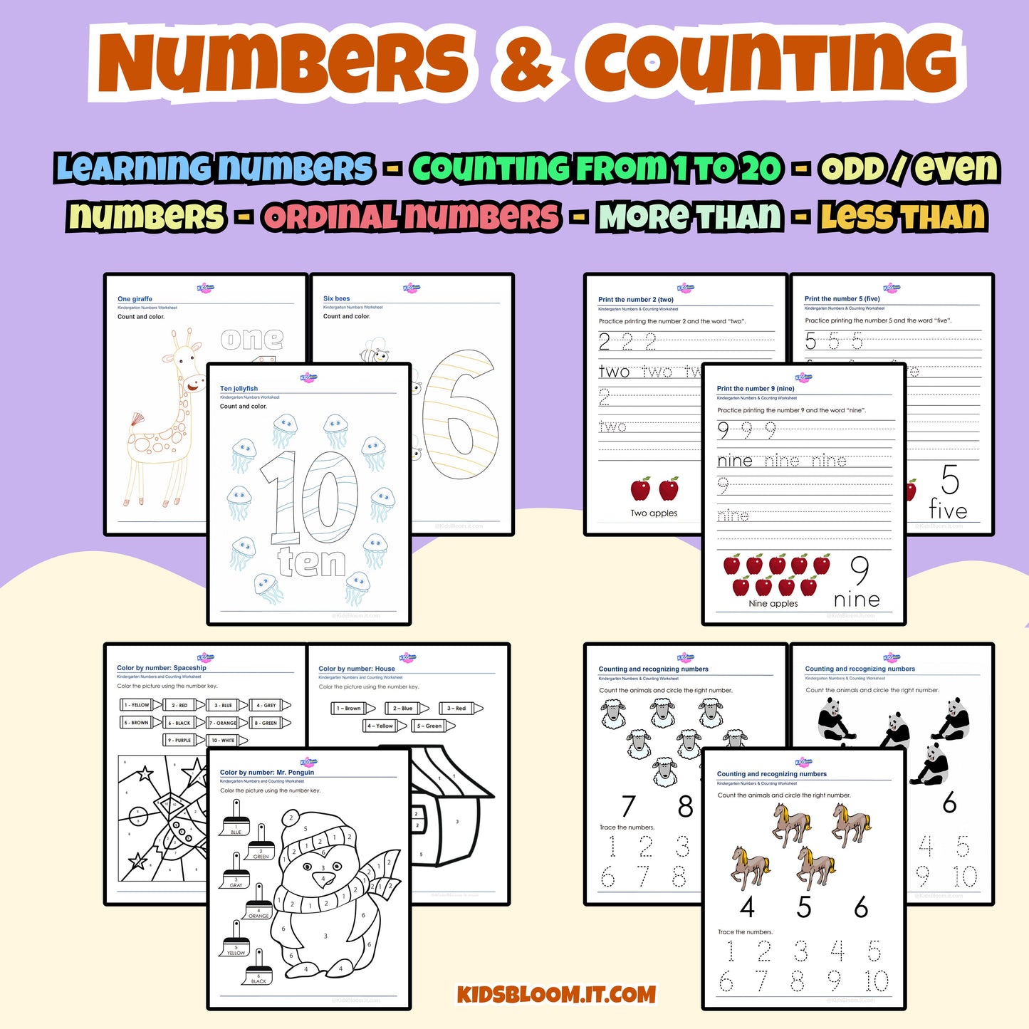 THE BIG LEARNING PACK - KidsBloom