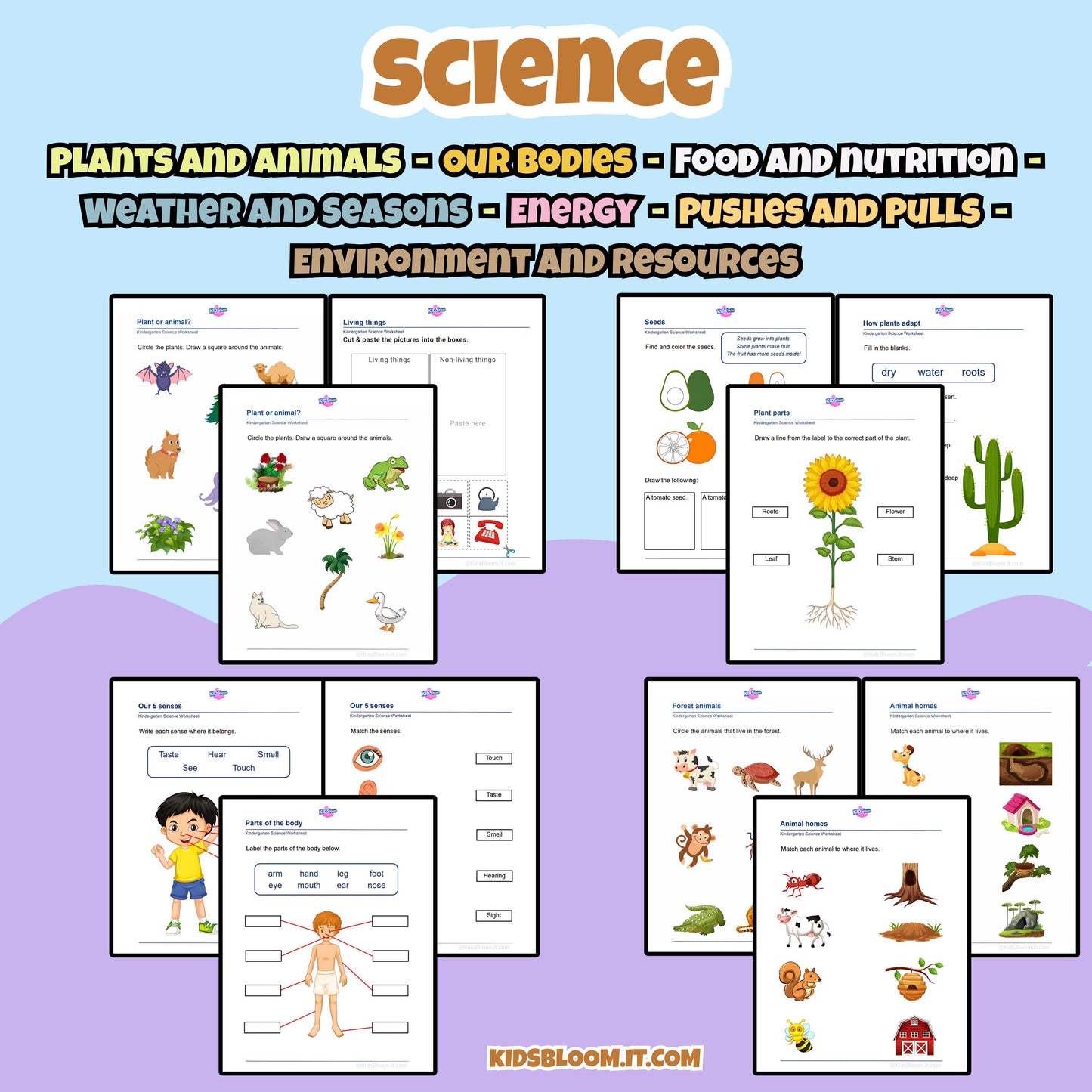 THE BIG LEARNING PACK - KidsBloom