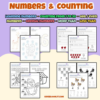 THE BIG LEARNING PACK - KidsBloom